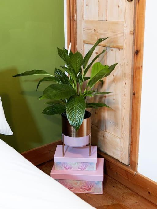Cosy Cottage In Central Reading Free Parking & Fast Wifi Esterno foto